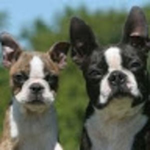 Meet your Posher, Silvia